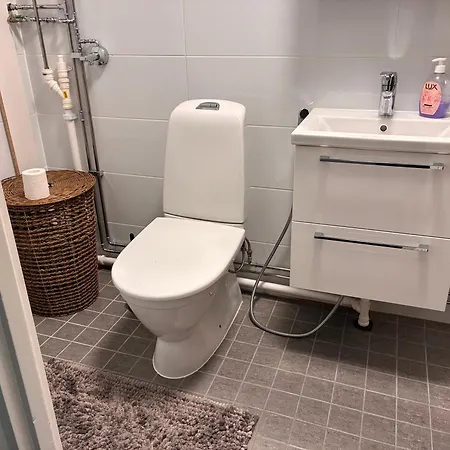 Koivukuja Koylio